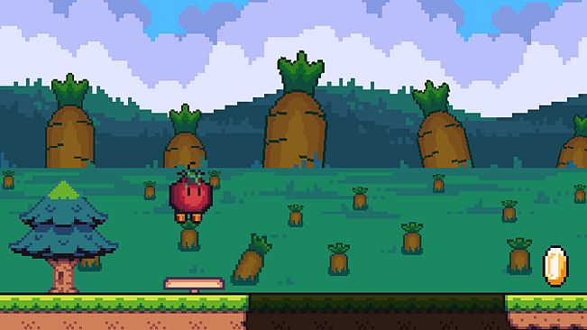 Mr Tomato Adventures