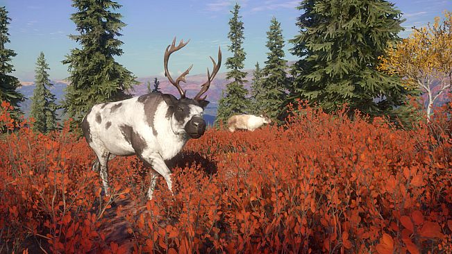 theHunter: Call of the Wild - Yukon Valley - Windows 10