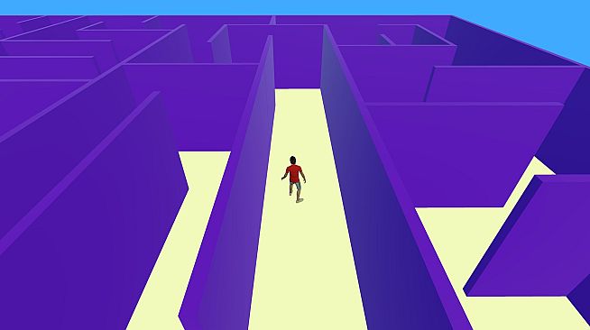 Maze Mania: The Ultimate 3D Maze Game
