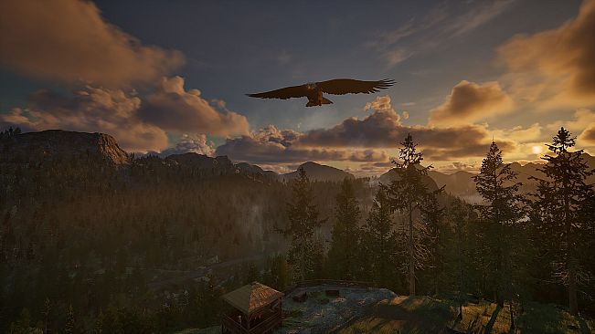 Ranger's Path: National Park Simulator