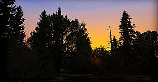 FSX: Steam Edition - FTX Trees HD Add-On