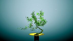 Tree Bonsai