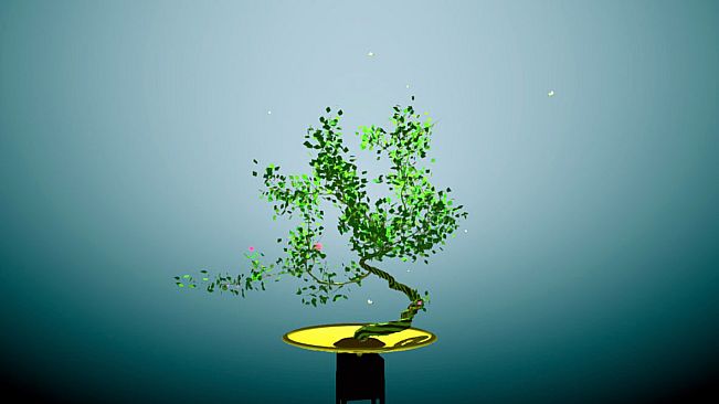 Tree Bonsai