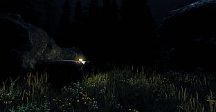 Undergrowth: VR Maze