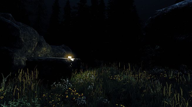 Undergrowth: VR Maze