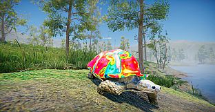 Turtles on Crocodiles