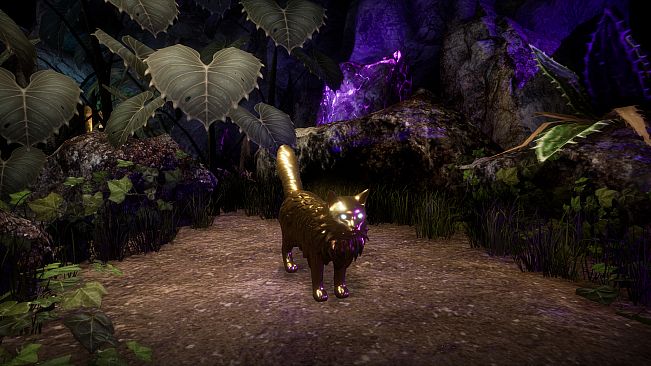 Another Sight - Hodge Skins