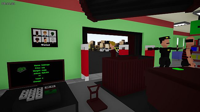 The Cassir Simulator