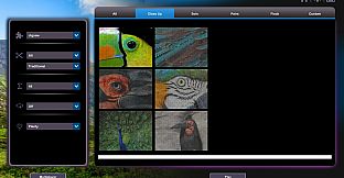 Let's Play Jigsaw Puzzles: Birds