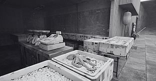 ノースウェステリアの子供