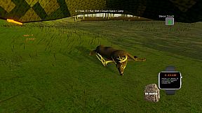 Deer Hunting - The Season