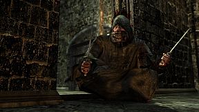 NecroVisioN: Lost Company