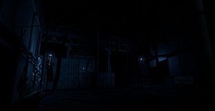 A Large Quantity Of Mushrooms