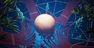 Lifecycles of the Traveler Spider