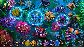 Spirits Chronicles: Flower Of Hope Collector's Edition