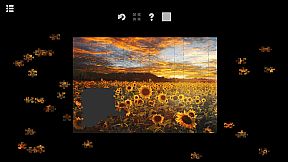 Jigsaw Puzzle Best Places