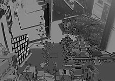 Kitten Love Emulator