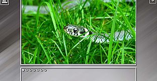 Super Jigsaw Puzzle: Generations - Snakes Puzzles
