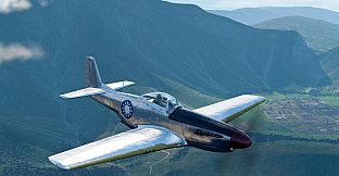 World of Warplanes - Flying Mustang Pack
