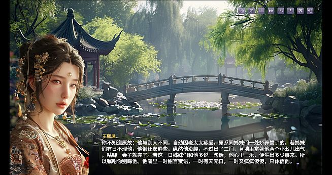 红楼梦 Stone Story