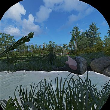 Just A Walk In The Park