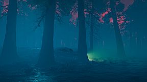 The Woods