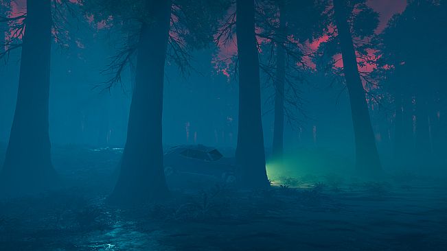 The Woods