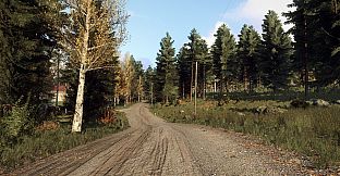 DiRT Rally 2.0 - Finland (Rally Location)