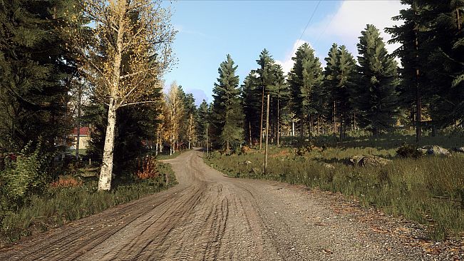 DiRT Rally 2.0 - Finland (Rally Location)
