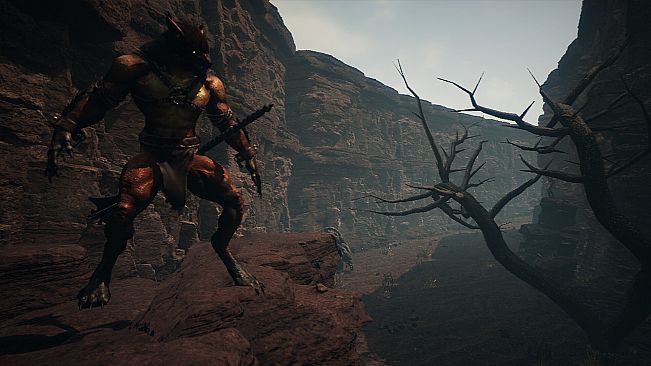 Wukong Fight in Kaoria