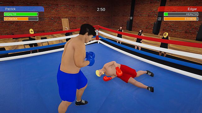 Boxing Simulator