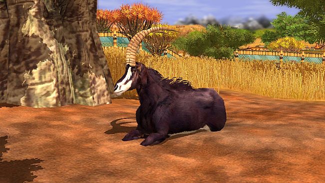 Wildlife Park 3 - Africa