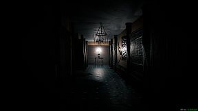 The Mirror Dimension