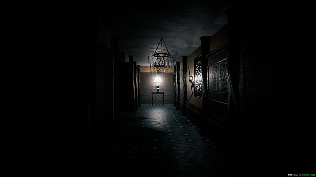 The Mirror Dimension