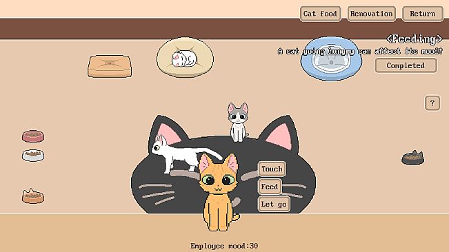 Cat Hostel 开一间猫咪民宿吧！