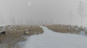 The Whisperer | Le murmureur