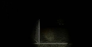 Sciophobia: The Fear of Shadows