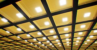 Backrooms: The M.E.G.