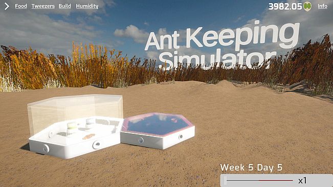 Ant Keeping Simulator
