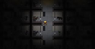 Waste Walkers Awareness