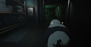 EVOTINCTION - Costume PANDA