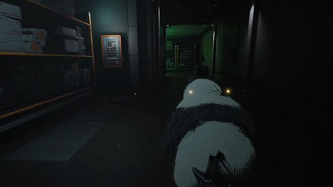 EVOTINCTION - Costume PANDA