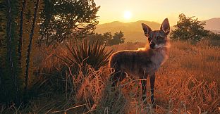 theHunter Call of the Wild - Rancho del Arroyo