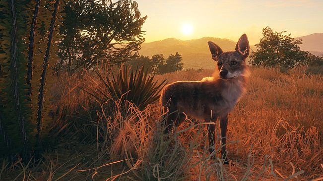 theHunter Call of the Wild - Rancho del Arroyo