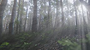 Mindfulness Simulator - ASMR Meditation Game