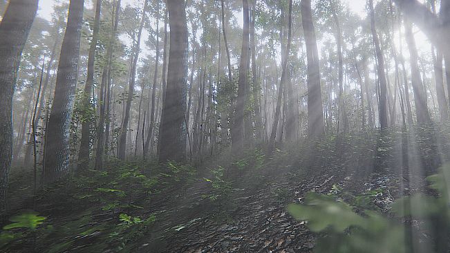 Mindfulness Simulator - ASMR Meditation Game