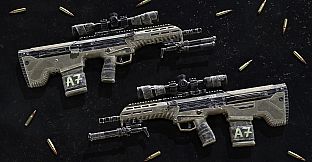 Insurgency: Sandstorm - Worn Veteran Weapon Skin Set