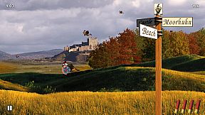 The Original Moorhuhn Hunt