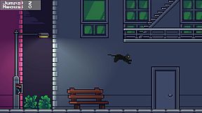 Rooftop Rascal: The Midnight Cat