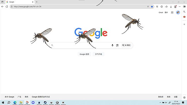 mosquito